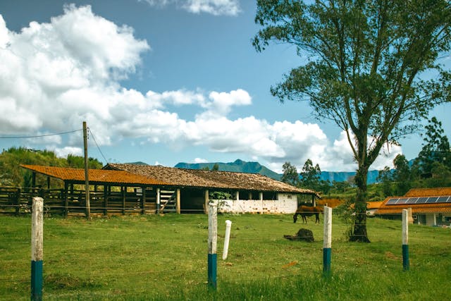 Vale a pena comprar uma fazenda em Santa Catarina?