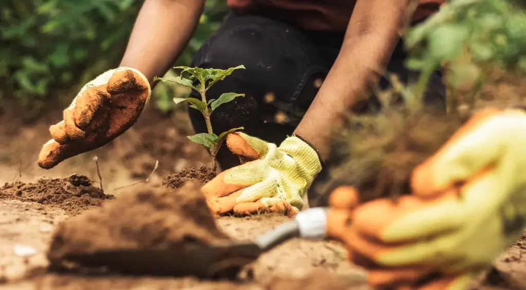 emergência ambiental